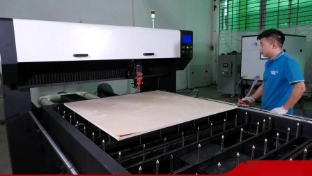 1000W CO2 Gantry Laser Cutting Machine for Die Board Production